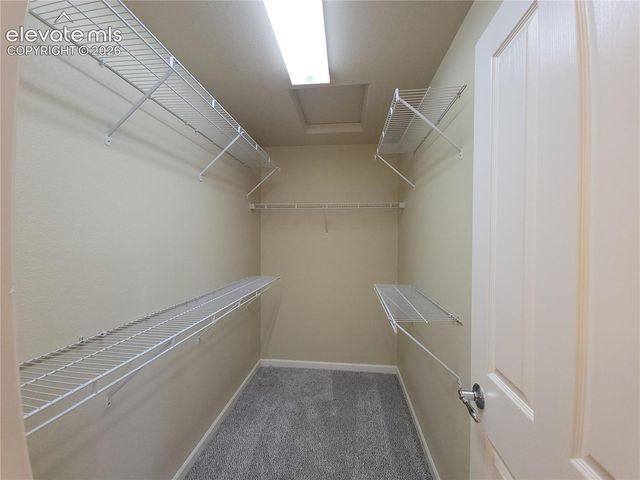 932 Burning Bush Point, Monument, CO 80132