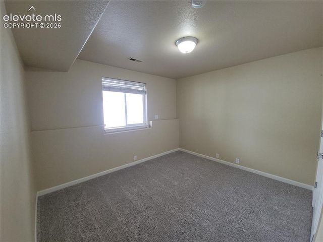 932 Burning Bush Point, Monument, CO 80132