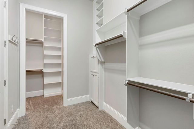 119 Bonnie Ridge Circle, Shenandoah, TX 77384