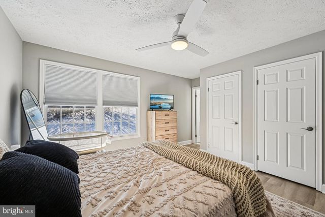 19 WHITE WILLOW CT, Owings Mills, MD 21117