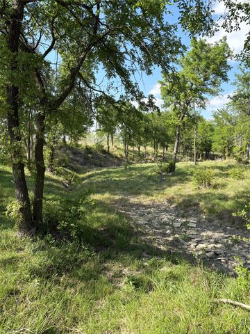 TBD Whitetail Springs Lane, Gustine, TX 76455