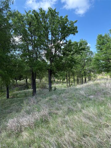 TBD Whitetail Springs Lane, Gustine, TX 76455