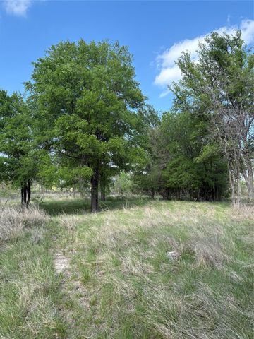 TBD Whitetail Springs Lane, Gustine, TX 76455