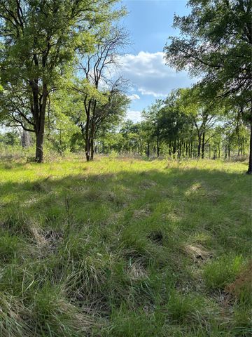 TBD Whitetail Springs Lane, Gustine, TX 76455