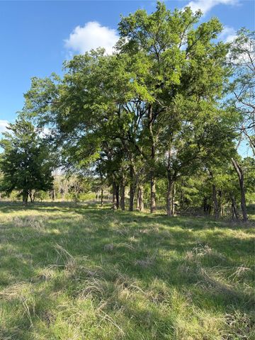 TBD Whitetail Springs Lane, Gustine, TX 76455