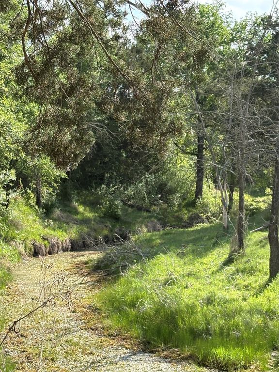 TBD Whitetail Springs Lane, Gustine, TX 76455