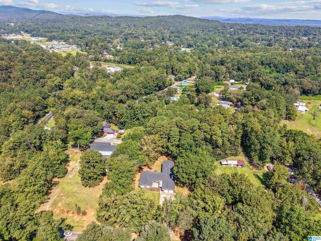 1076 ALABAMA AVENUE, Sylacauga, AL 35150