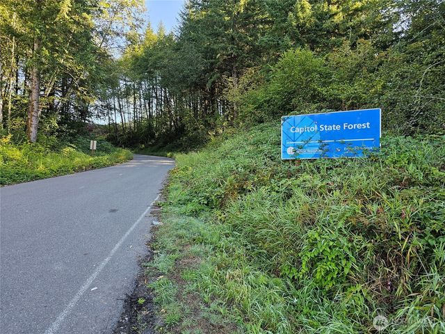 208 S 2nd Street, Oakville, WA 98568