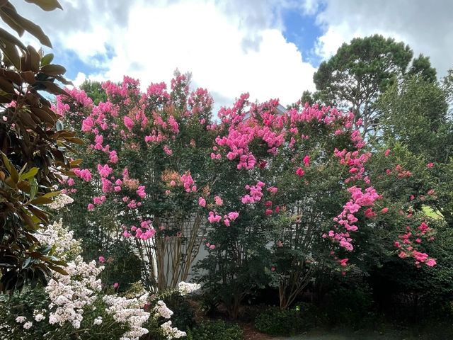 4318 Hope Plantation Drive, Johns Island, SC 29455