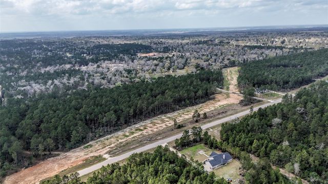 15583 Forest Grove Drive, Willis, TX 77378