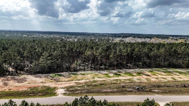 15583 Forest Grove Drive, Willis, TX 77378