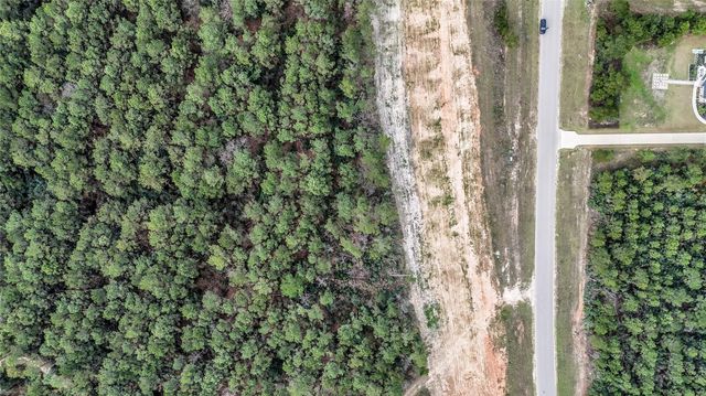 15583 Forest Grove Drive, Willis, TX 77378