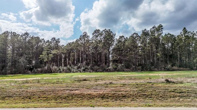 15583 Forest Grove Drive, Willis, TX 77378