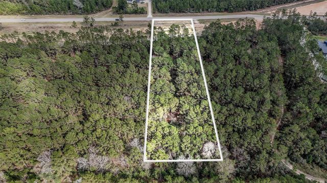 15583 Forest Grove Drive, Willis, TX 77378