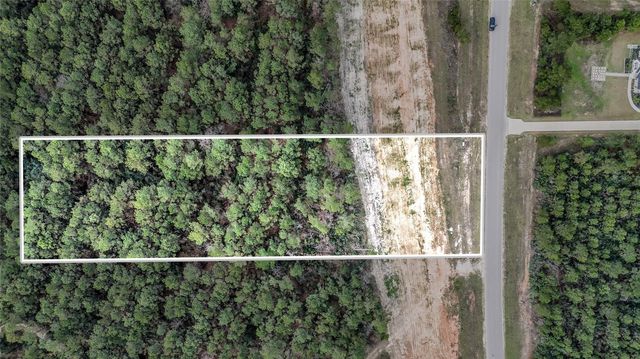 15583 Forest Grove Drive, Willis, TX 77378