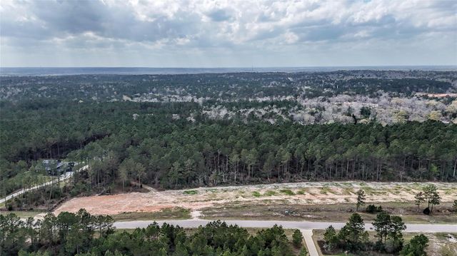 15583 Forest Grove Drive, Willis, TX 77378