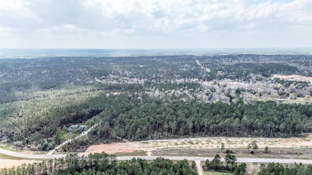 15583 Forest Grove Drive, Willis, TX 77378