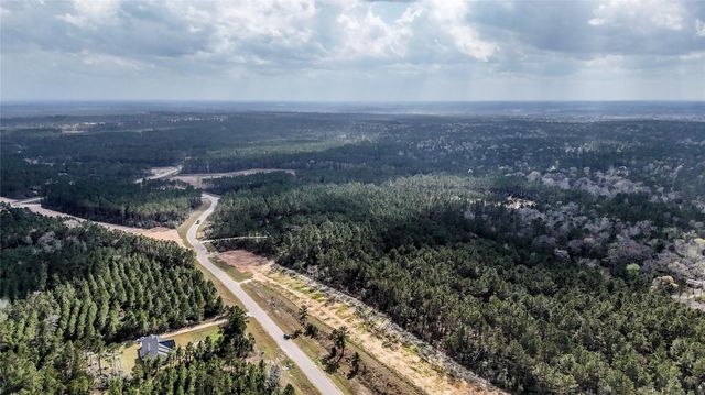 15583 Forest Grove Drive, Willis, TX 77378