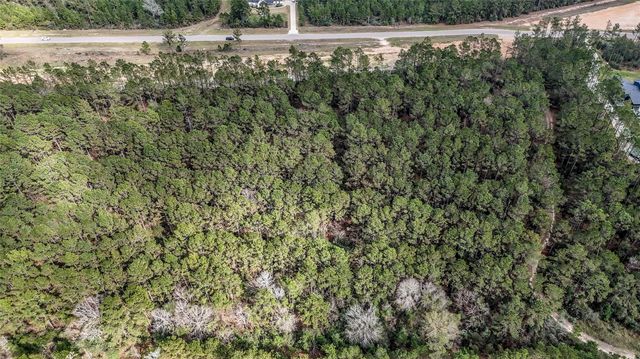 15583 Forest Grove Drive, Willis, TX 77378