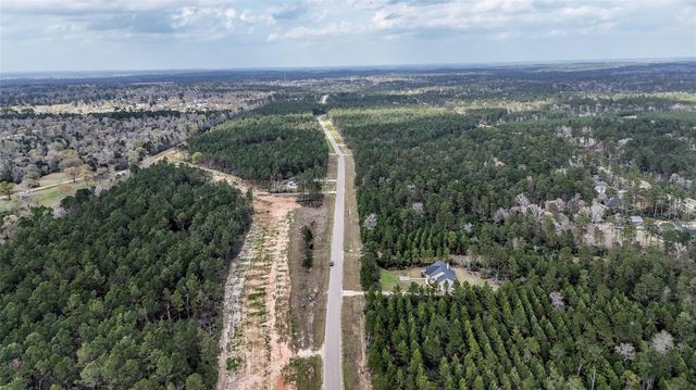 15583 Forest Grove Drive, Willis, TX 77378