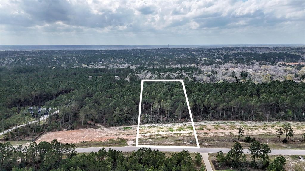 15583 Forest Grove Drive, Willis, TX 77378