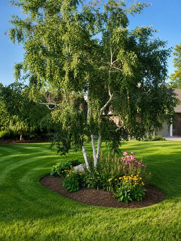 8708 W 144th Street, Orland Park, IL 60462