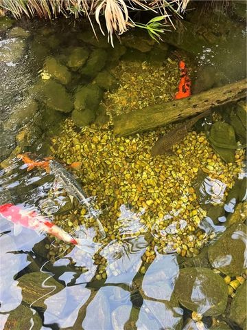 151 Laurel Marsh Way, Kingsland, GA 31548