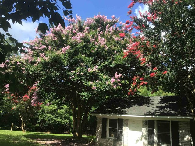 1044 Forest Dr., Conway, SC 29526