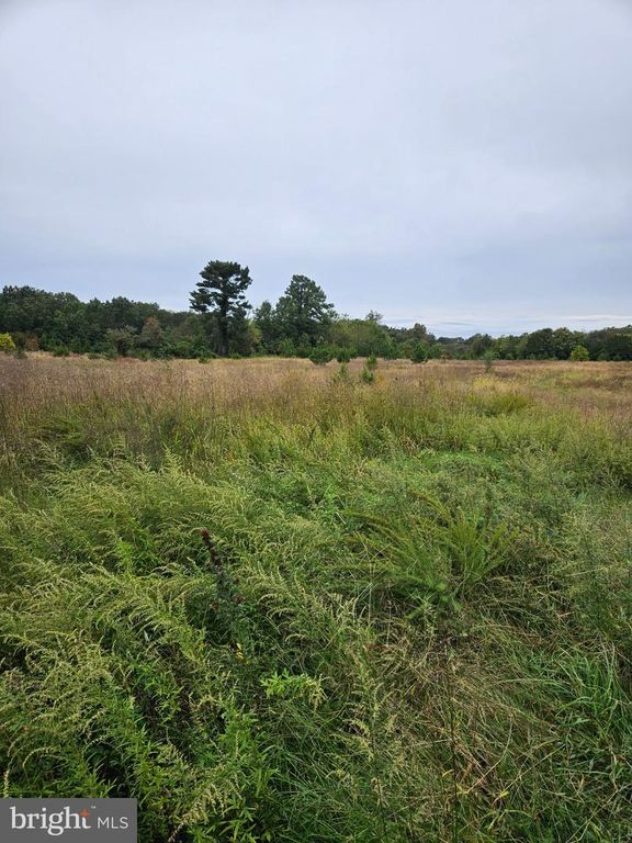 1252 W OAK RD, VINELAND, NJ 08360 — photo 3