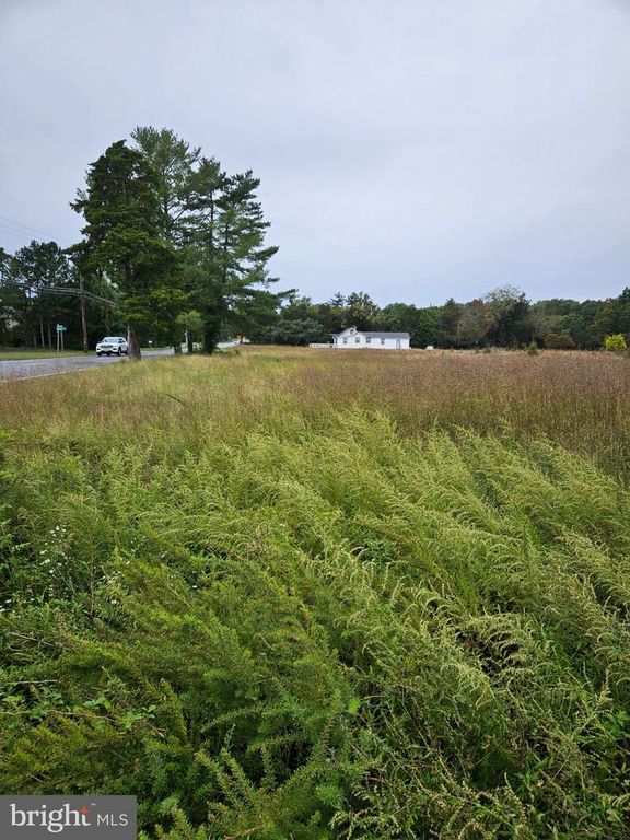 1252 W OAK RD, VINELAND, NJ 08360 — photo 4