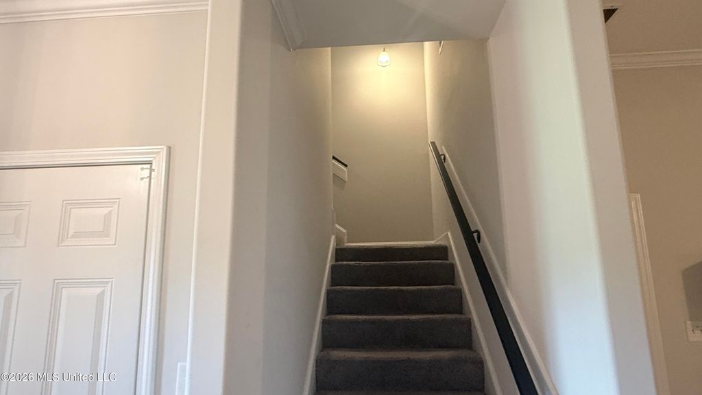 4968 Witt Cove, Olive Branch, MS 38654 — photo 5