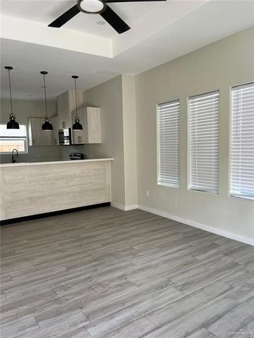 1320 N Mccoll Road 2, Edinburg, TX 78541