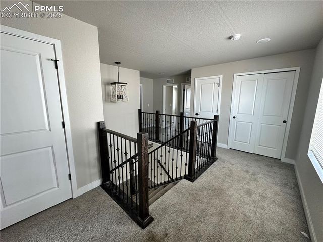 11489 Piping Plover Place, Colorado Springs, CO 80925