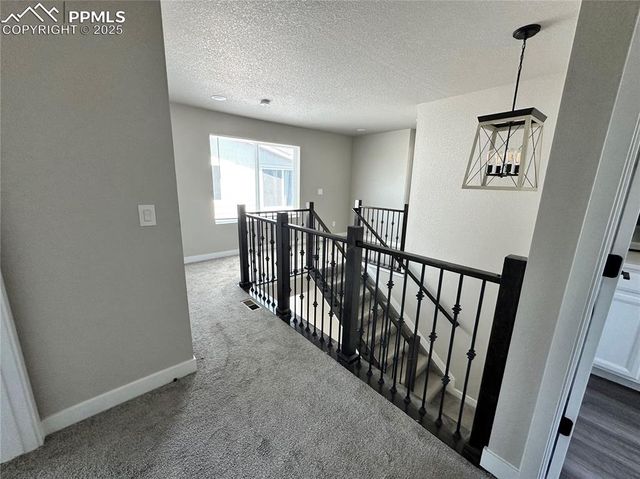 11489 Piping Plover Place, Colorado Springs, CO 80925