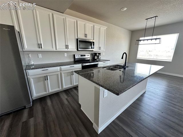 11489 Piping Plover Place, Colorado Springs, CO 80925