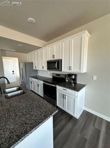 11489 Piping Plover Place, Colorado Springs, CO 80925