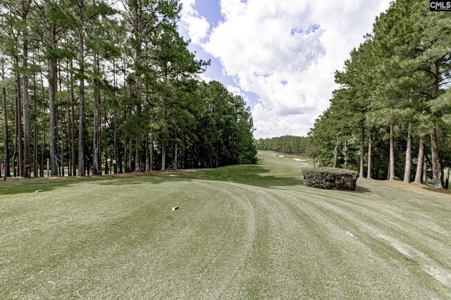 808 Coriander Drive, Blythewood, SC 29016