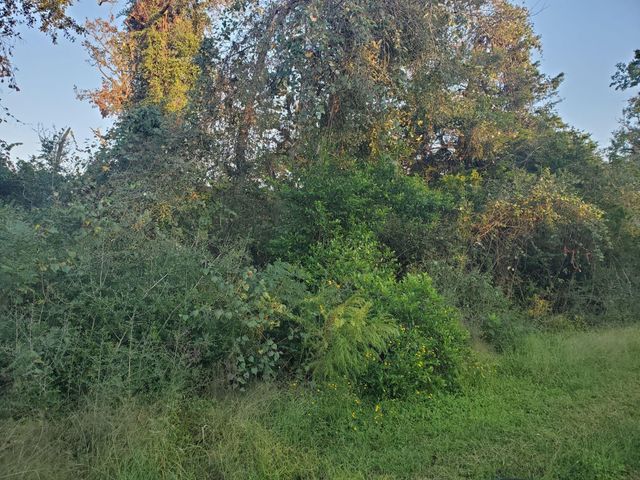 0 Cottontail, Hempstead, TX 77445