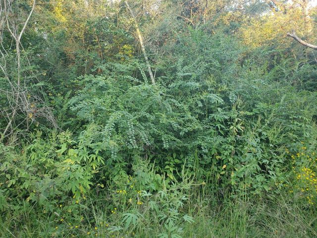0 Cottontail, Hempstead, TX 77445