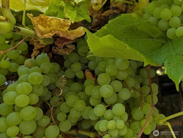 24 199th Place SE, Bothell, WA 98012