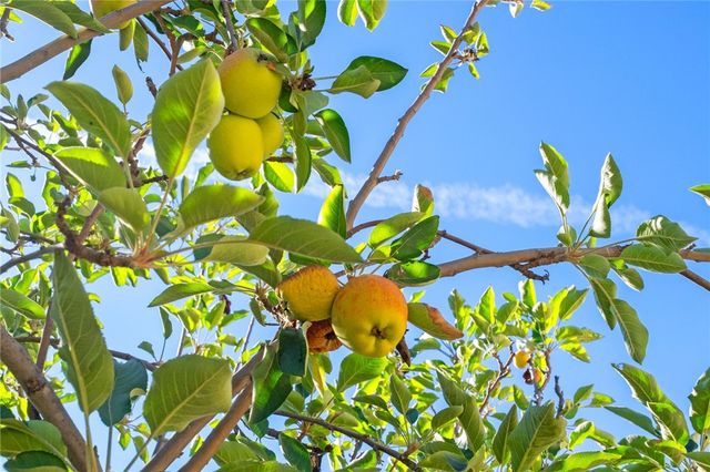 36622 Silk Oak Terrace, Murrieta, CA 92562