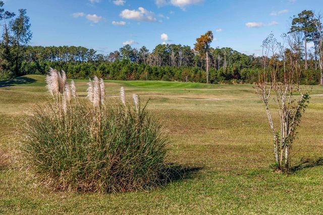 565 Bucks Trail, Longs, SC 29568