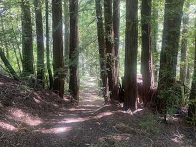 17000 Bear Creek Road, Boulder Creek, CA 95006