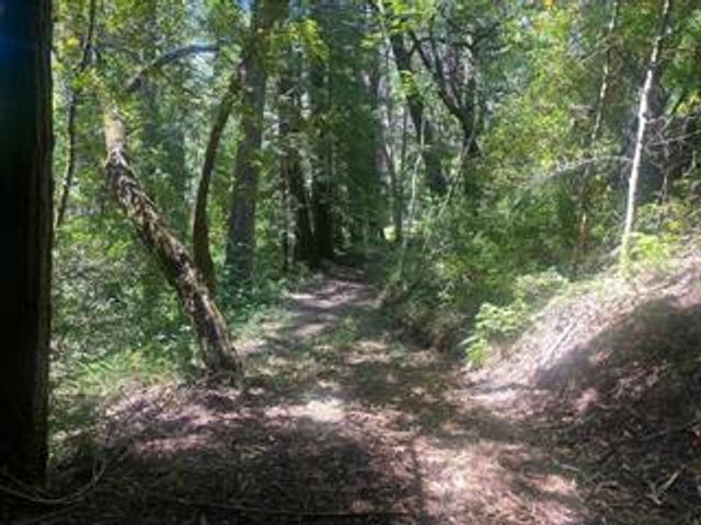 17000 Bear Creek Road, Boulder Creek, CA 95006