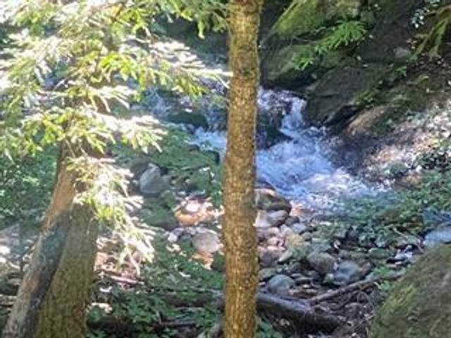 17000 Bear Creek Road, Boulder Creek, CA 95006