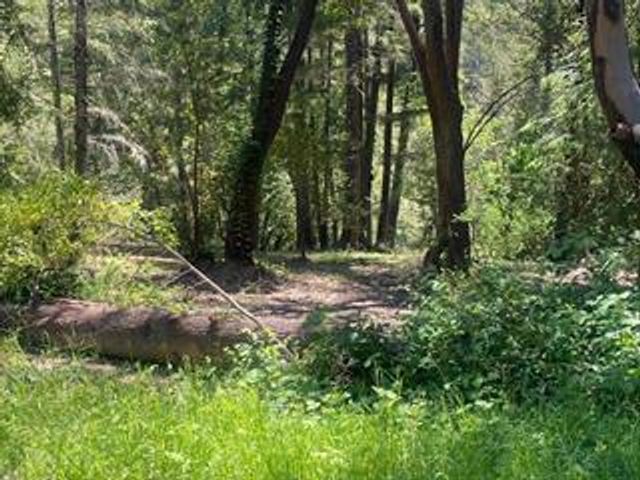 17000 Bear Creek Road, Boulder Creek, CA 95006