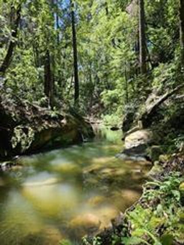 17000 Bear Creek Road, Boulder Creek, CA 95006