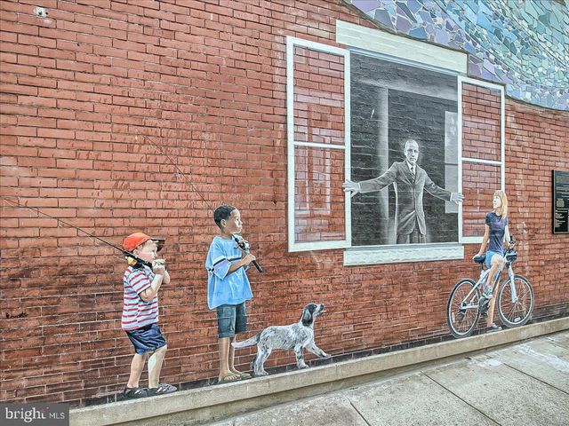 801 N MAPLE AVE, Brunswick, MD 21716