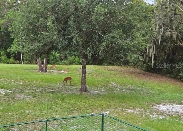 9802 ROYAL PALM AVENUE, New Port Richey, FL 34654