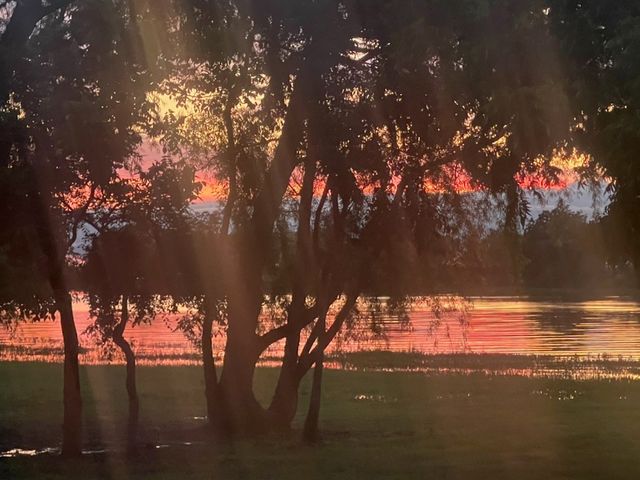 5078 Waterfront Road, Kerens, TX 75144